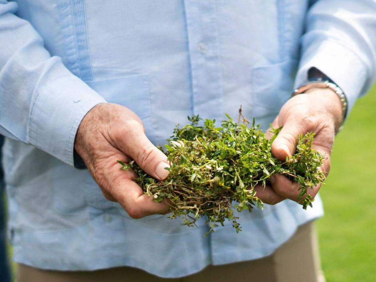 “Lo que nosotros estamos haciendo es un levantamiento con nuestro personal técnico y legal. Formalmente nosotros no tenemos entregada esta cancha, no la damos por recibida. Desde ahorita le digo al Real España y Olimpia que el clásico en este estadio no van a jugar”, expresó de forma polémica el alcalde Roberto Contreras.