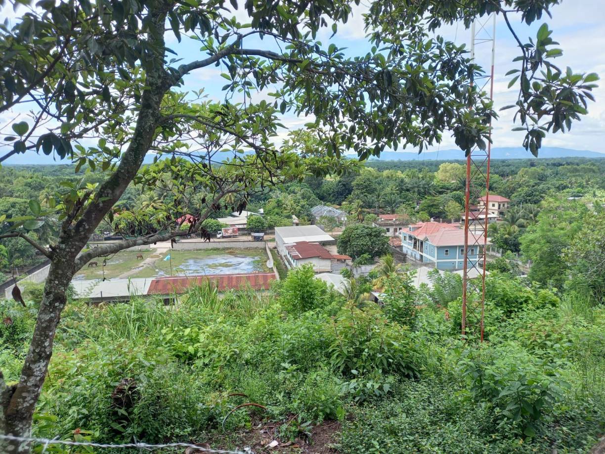 Los campos aún no se han drenado y se esperan más inundaciones a causa de las lluvias. 