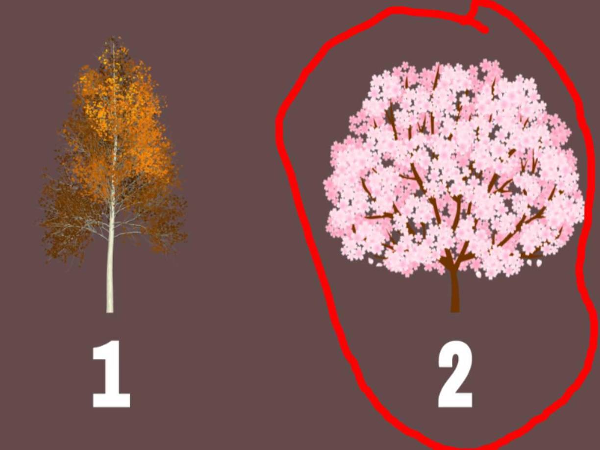 Árbol de primavera: tus principios fundamentales <b>se enfocan en la renovación y el crecimiento personal.</b> Valoras la capacidad de renovarte y reinventarte constantemente, así como <b>el impulso de crecer y desarrollarte en todos los aspectos de tu vida.</b> Tu compromiso con la renovación te inspira a buscar nuevas oportunidades.