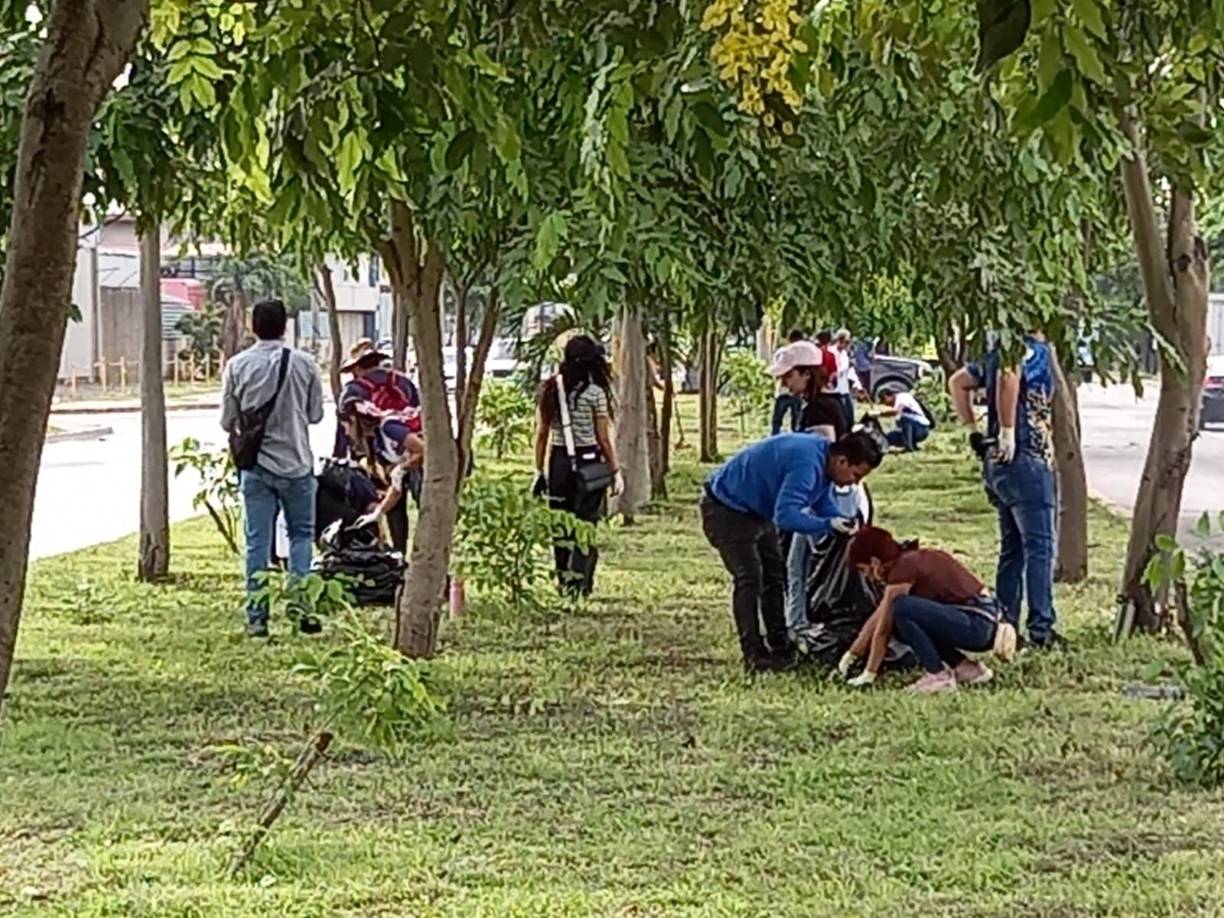 Agregó que después de todo este trabajo, monitorean cada planta por 18 meses, fertlizando y regando los árboles para asegurar que se adapte al entorno.