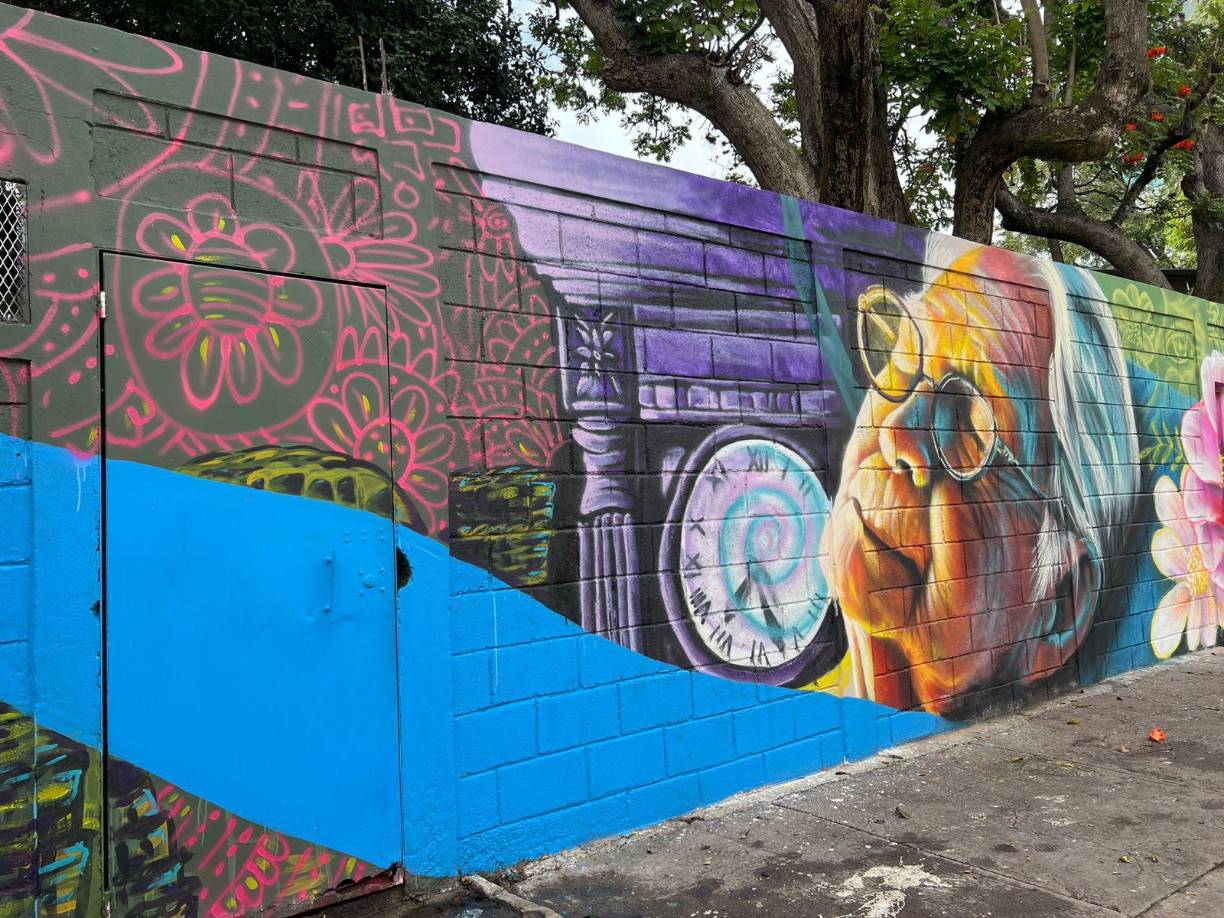 Este proyecto estuvo lleno de creatividad, propósito y proyección social, fue una iniciativa liderada por practicantes de Trabajo Social de la Universidad Nacional Autónoma de Honduras (UNAH), Eda Luna, Keyla López y Sandra Andino, en alianza con la Unidad de Artes Visuales y Plásticas de la Secretaría de las Culturas, las Artes y los Patrimonios de los Pueblos de Honduras (SECAPPH).