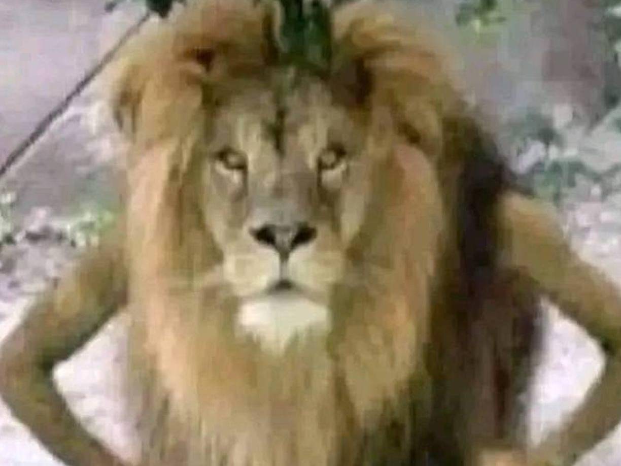 Olimpia recibe burlas tras derrota ante Real España