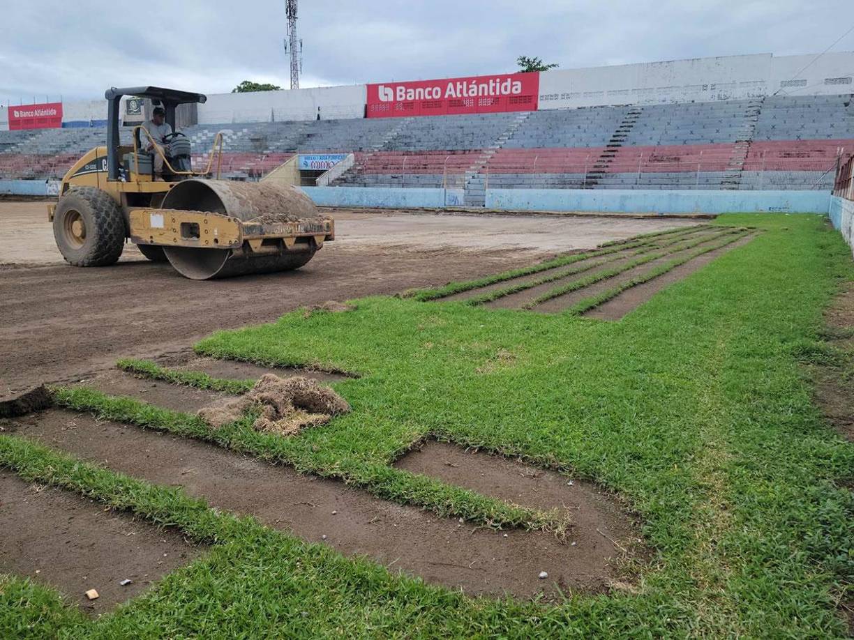 La inversión para cambiar el césped del estadio Ceibeño será millonaria, al igual que en Tegucigalpa y San Pedro Sula.