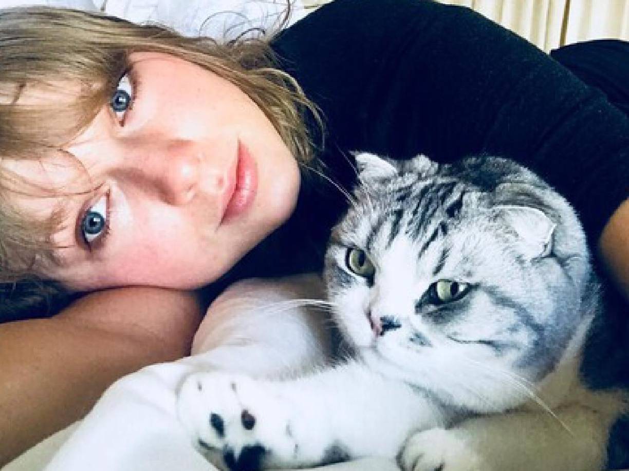 Su principal fuente de inspiración para escribir canciones son sus relaciones pasadas, tanto de amistad como de amor, en su álbum ‘Lover’, Taylor reveló que su mayor inspiración para escribir de<b> </b>alegría y amor eterno, fueron sus gatos.