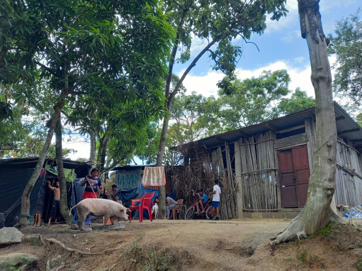 Aproximadamente 500 viviendas en Urraco Pueblo, continuan con agua debido a las inundaciones de las últimas tormentas en Honduras. 