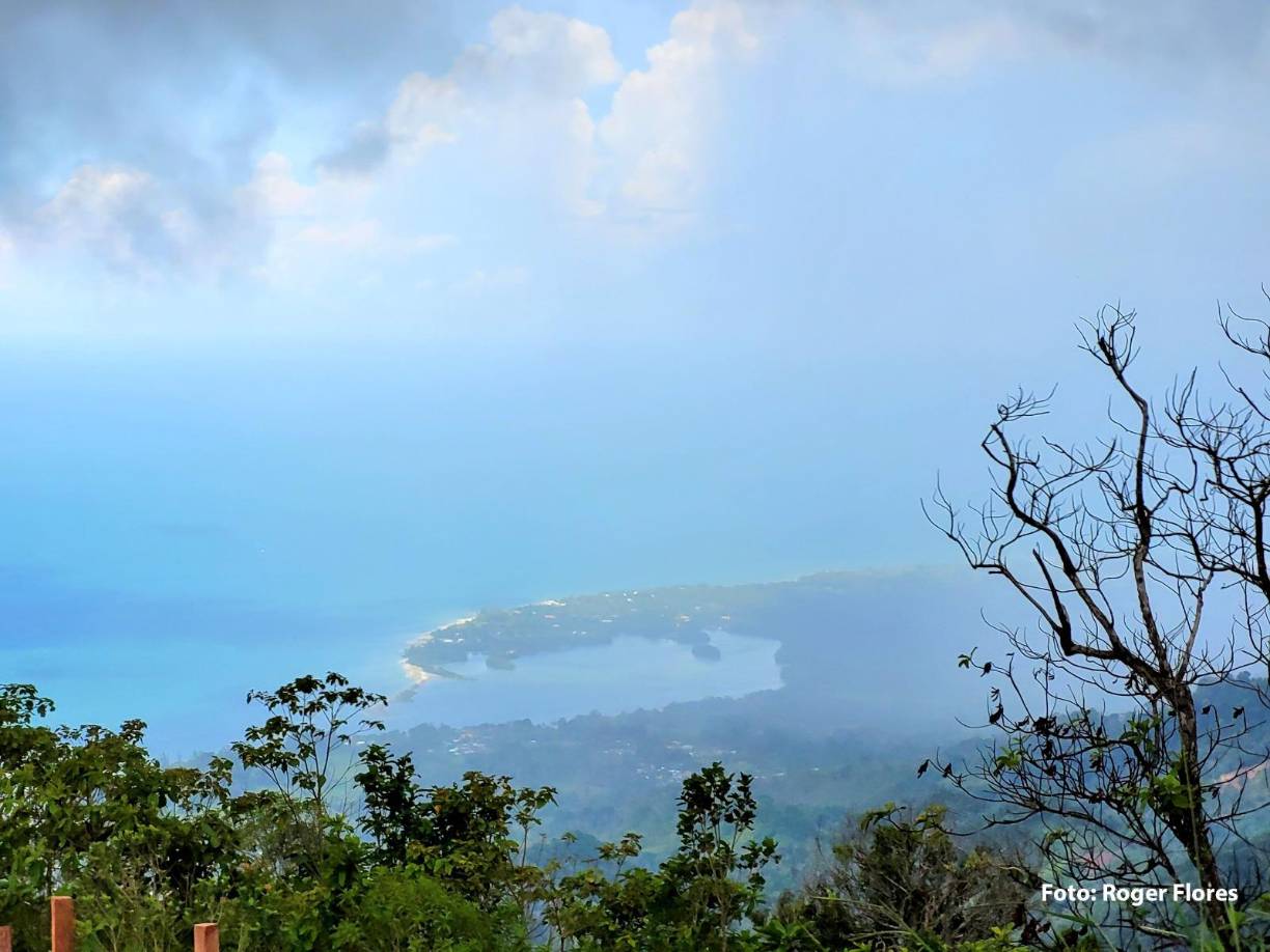 <b>Las personas que lo practican desarrollan un mayor aprecio por la naturaleza, adoptan buenas prácticas como el uso responsable de recursos y la reducción de residuos, y mejora el estado de ánimo, el nivel de estrés, las habilidades cognitivas, entre otros.</b>