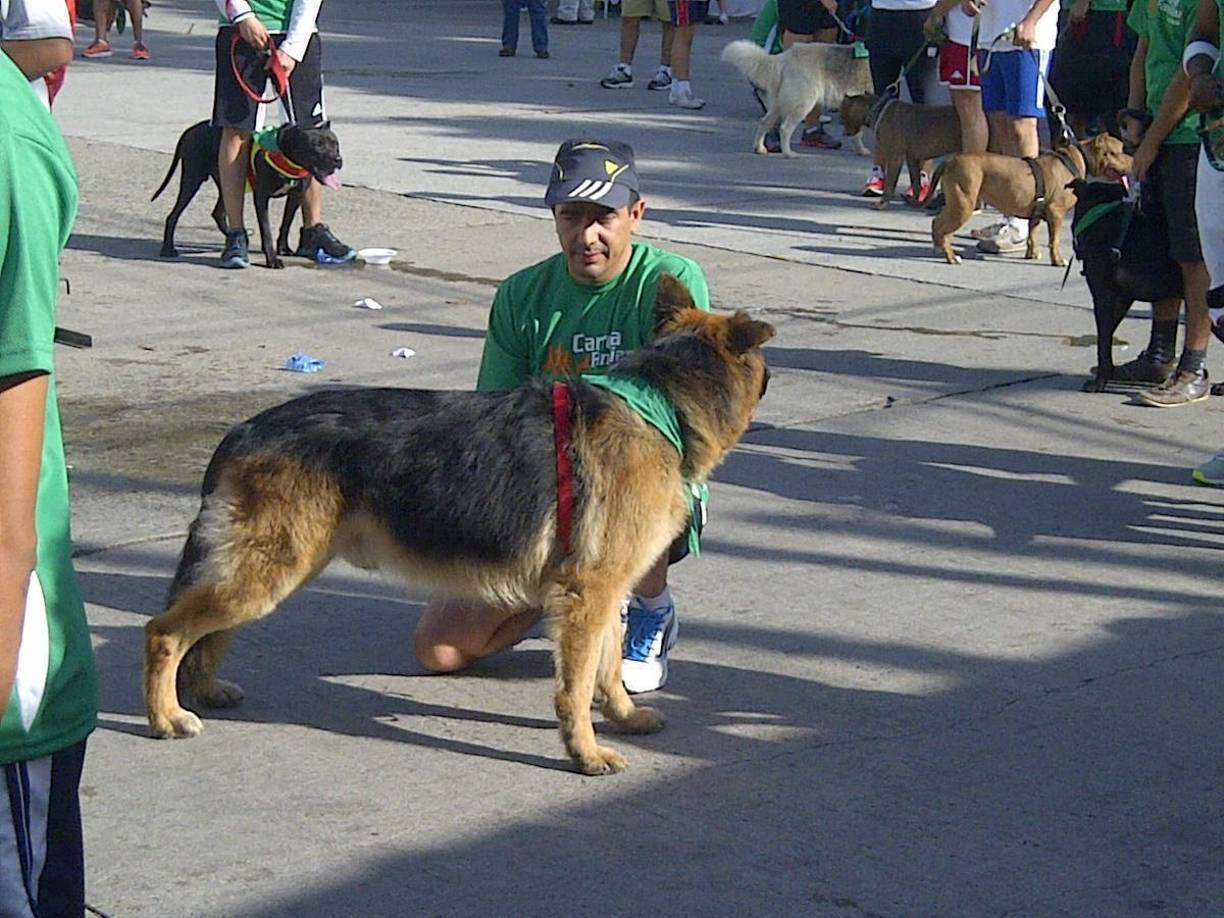 David Núnez es graduado de Ingeniería Industrial de la Universidad Católica de Honduras.