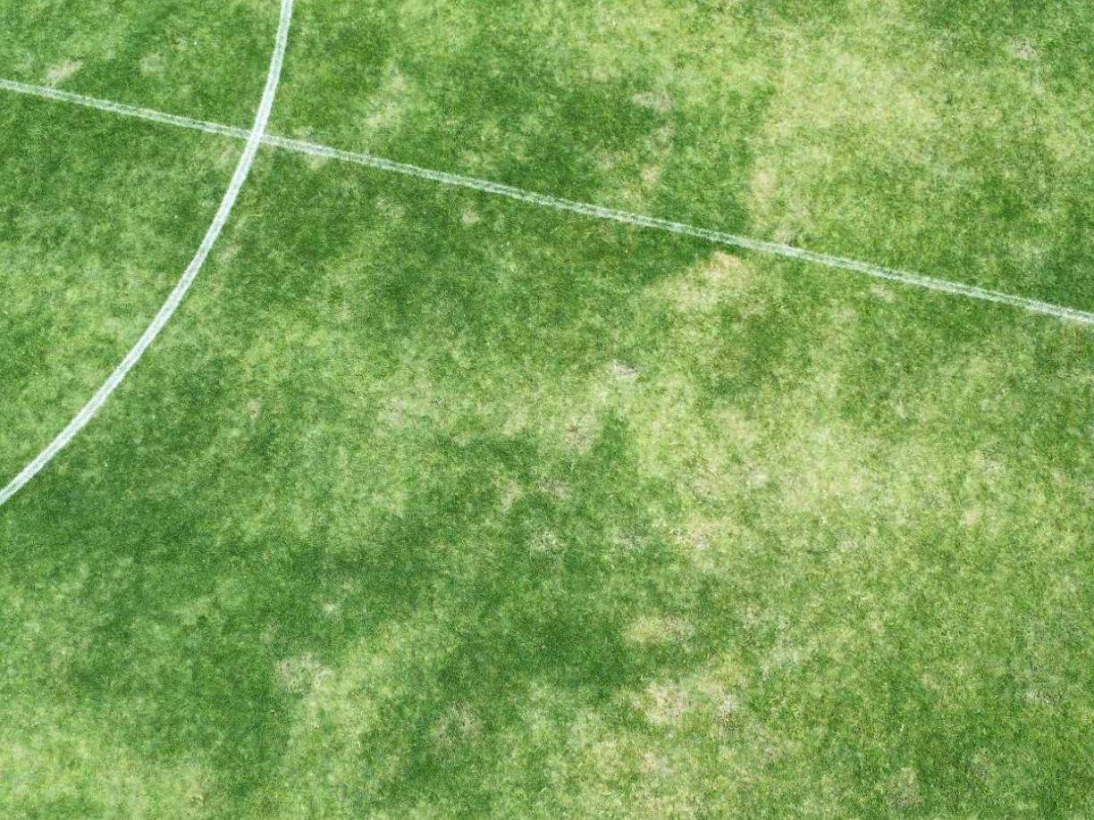 A falta de seis días para el juego entre Real España vs Olimpia, así luce el estado del engramillado del Estadio Morazán de San Pedro Sula.