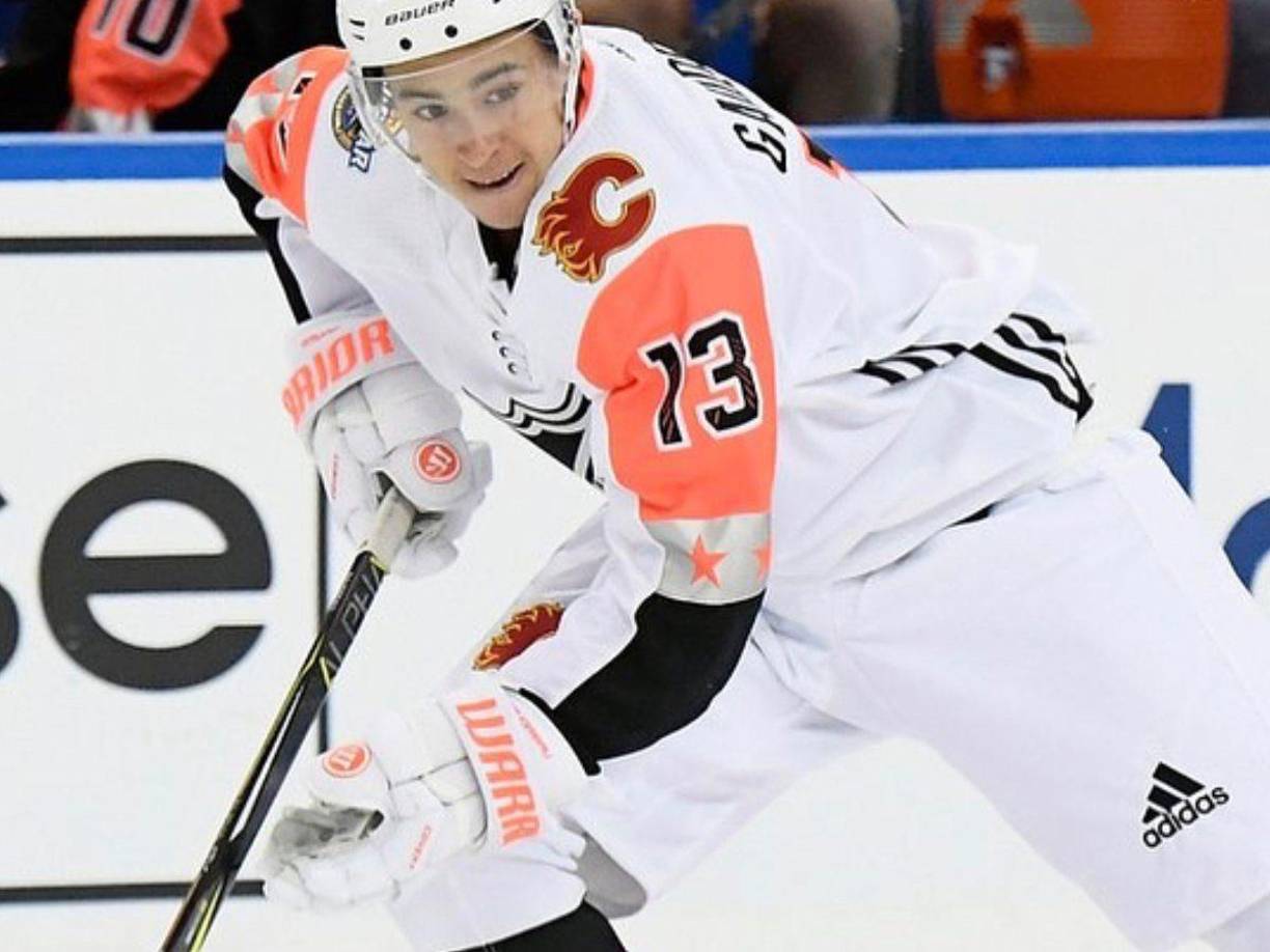 La liga estadounidense de hockey hielo (NHL) informó sobre la muerte de Johnny y Matthew Gaudreau, ambos jugadores de hockey hielo, quienes se encontraban en Nueva Jersey en la víspera de la boda de su hermana. 