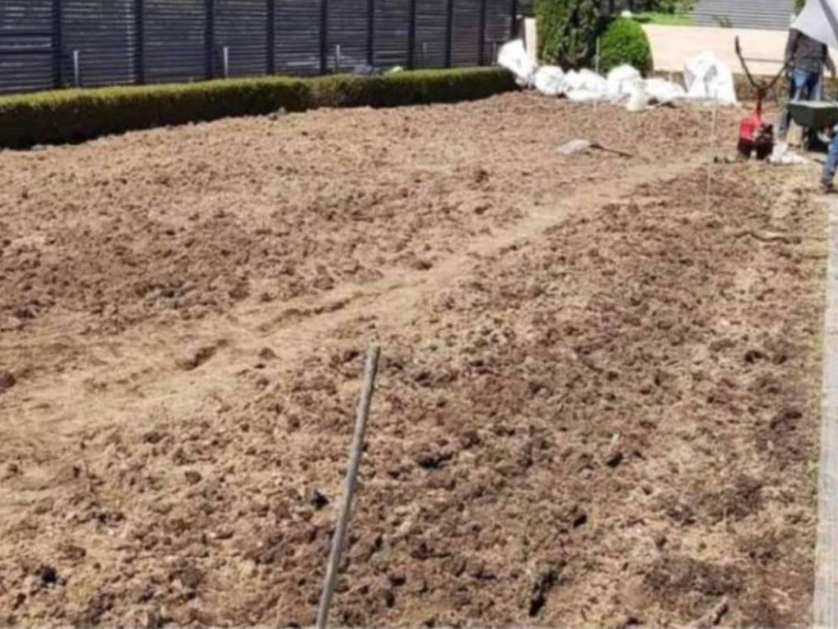 Nelson es un gran trabajador en el área de jardinería y tanto fue su esfuerzo que el jugador del Real Madrid lo contrató para remodelar su jardín.