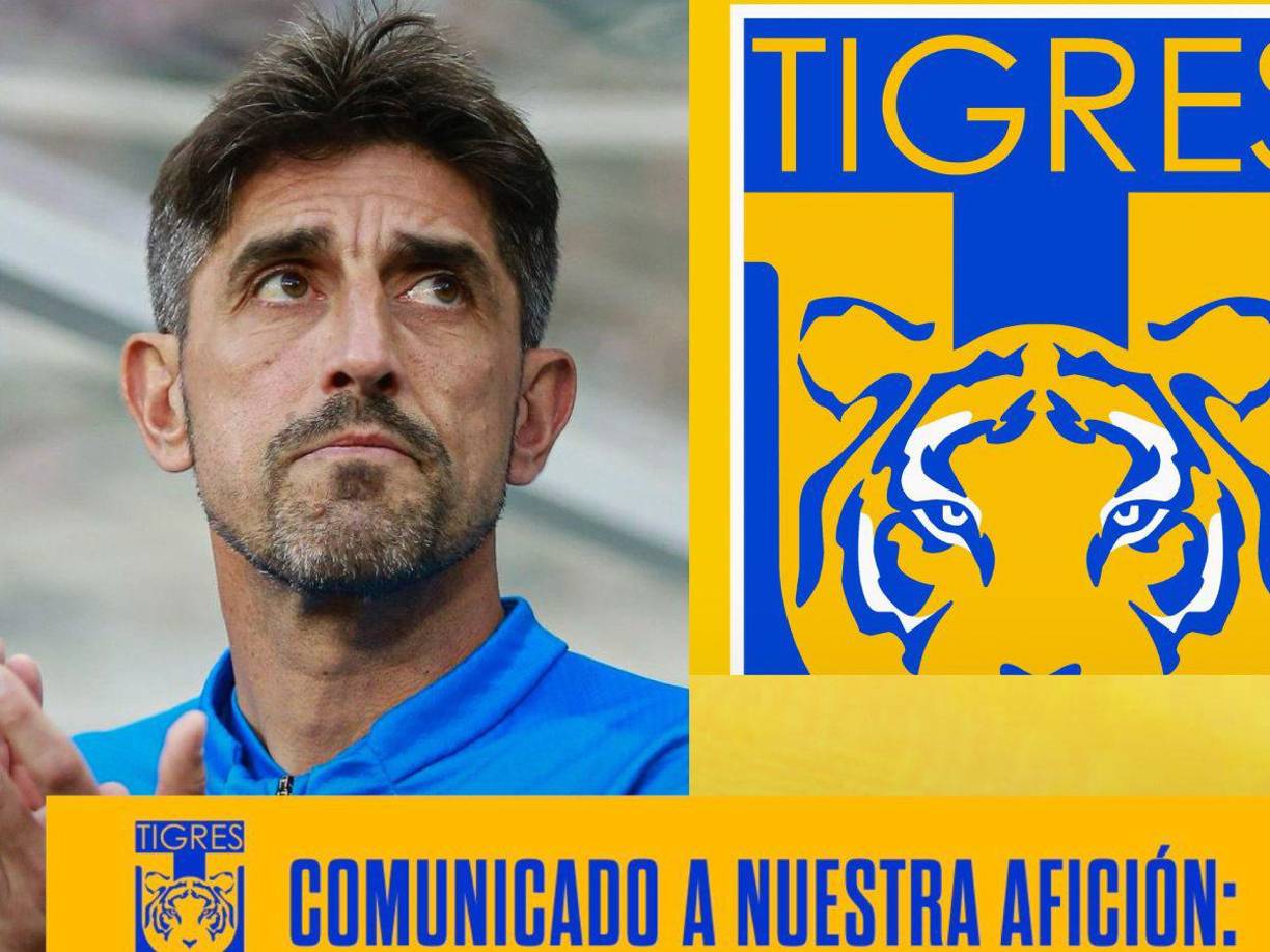El serbio Veljko Paunovic, ex jugador del Atlético Madrid entre otros equipos, fue anunciado este domingo como nuevo entrenador de los Tigres UANL del fútbol mexicano. Regresa a la Liga MX ya que en su momento fue estratega de las Chivas.
