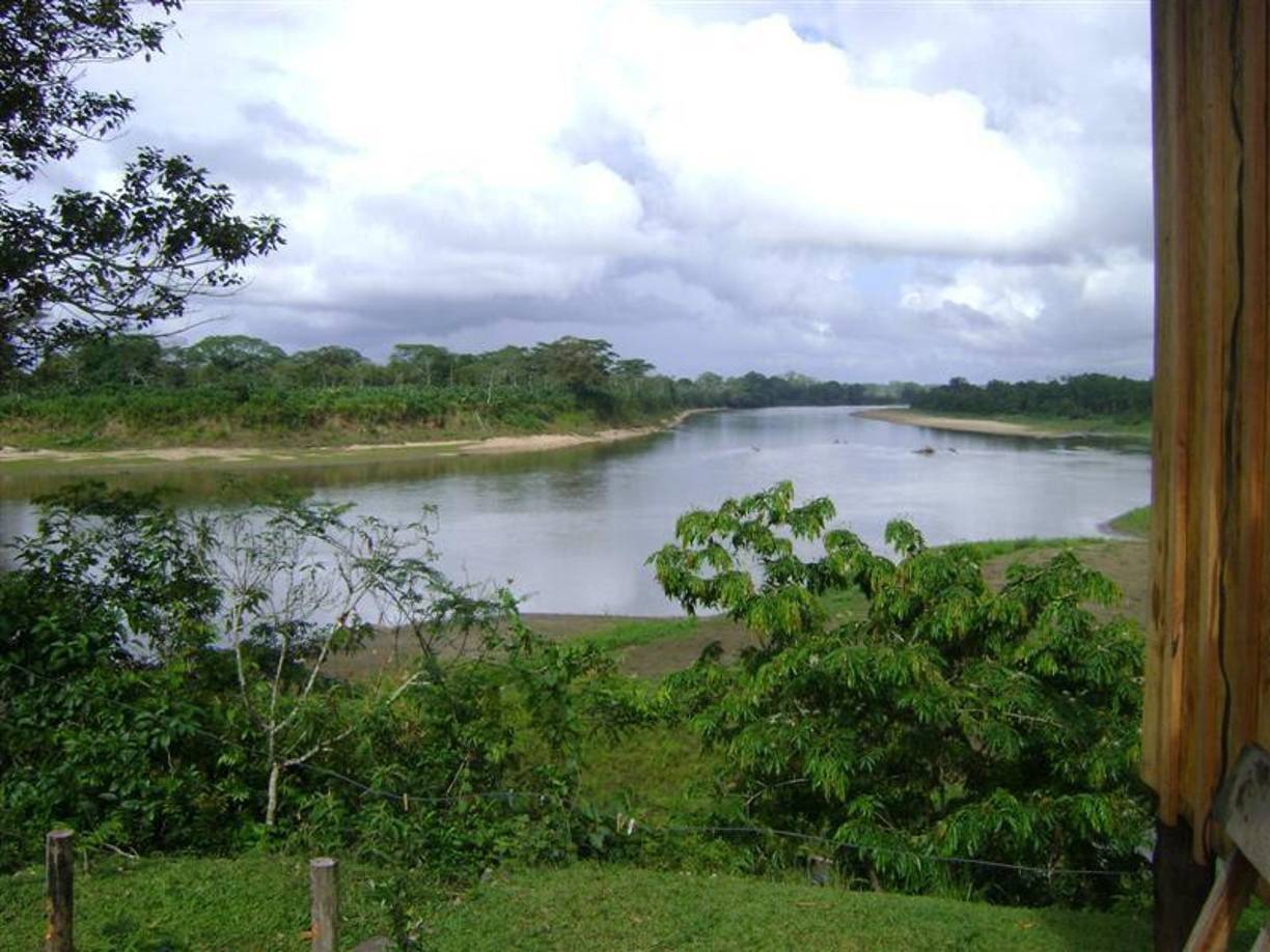 Al ver que nadie llegaba, ella decidió subirse a un cayuco con los infantes, pero lamentablemente perdieron la vida. Mayra Yamileth Dubón, madre de Heysel Ariana Cruz Dubón, dijo que la menor residía en Siguatepeque y se había ido a Puerto Lempira a visitar al papá porque estaba de vacaciones. 