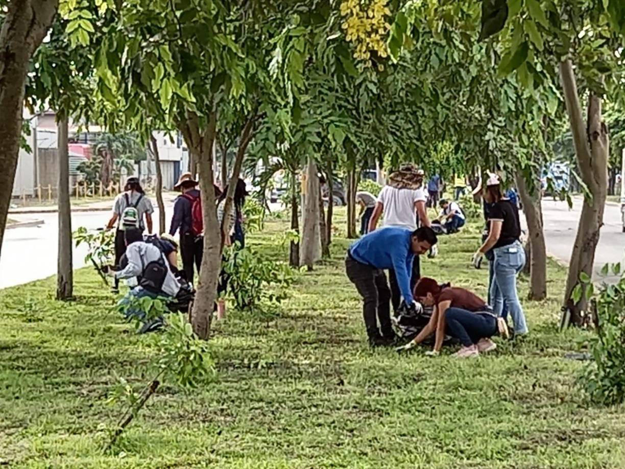 Caballero refirió que “Sembrando Esperanza” será desarrollada durante cuatro fines de semana consecutivos en su primera etapa, llegando además al bulevar del este y el bordo de río Bermejo.