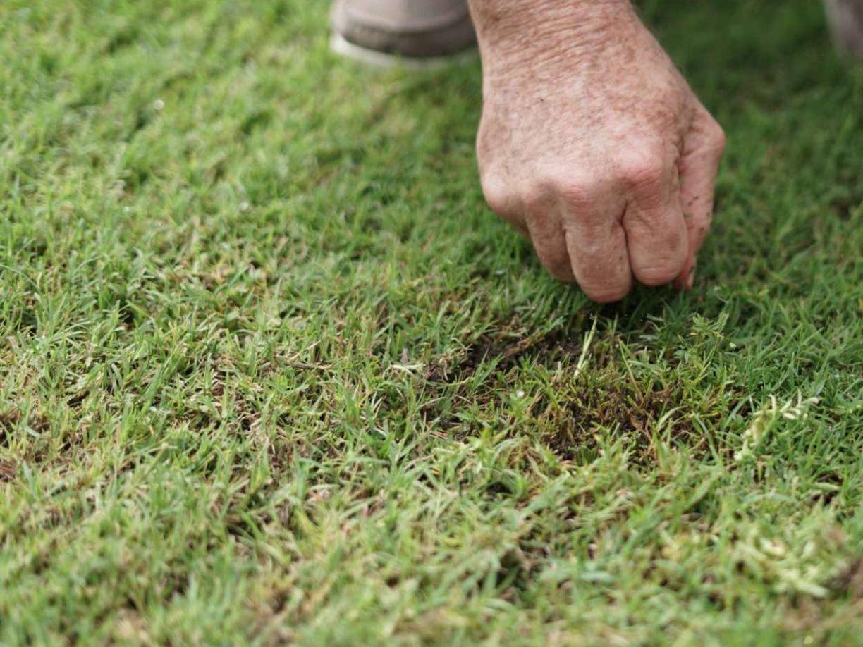 “Denuncio en este momento al alcalde Contreras. No sé qué le lanzó a esa cancha para que esté como está. Él es el responsable de eso, es un hombre malo, falso, que odia a la presidenta Castro. Él ataca a diario al gobierno”, indicó Mario Moncada sobre Roberto Contreras.