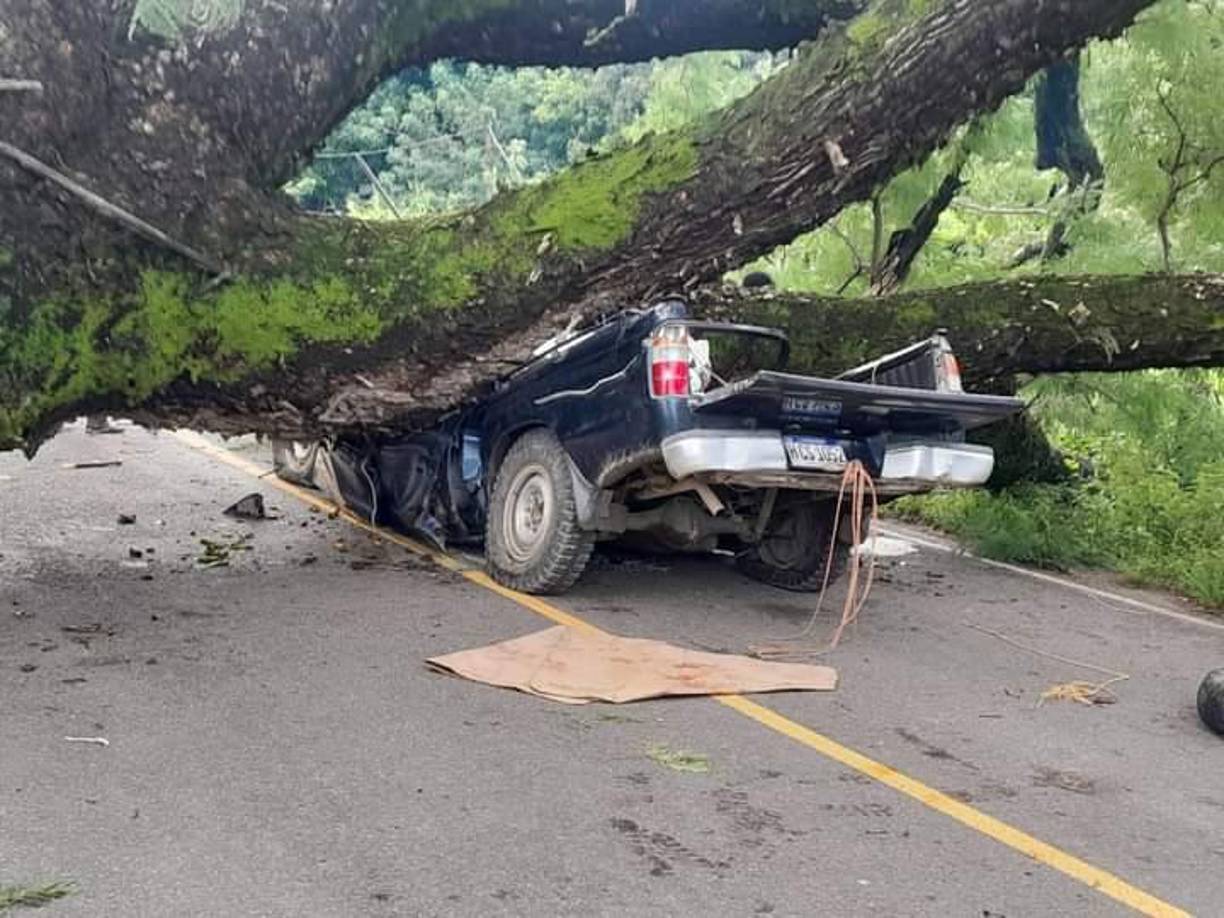 Los vecinos del Corpus Choluteca dijeron que ellos en el pasado habían pedido que cortaron el pesado árbol porque había mostrado problemas debido a su longevidad.