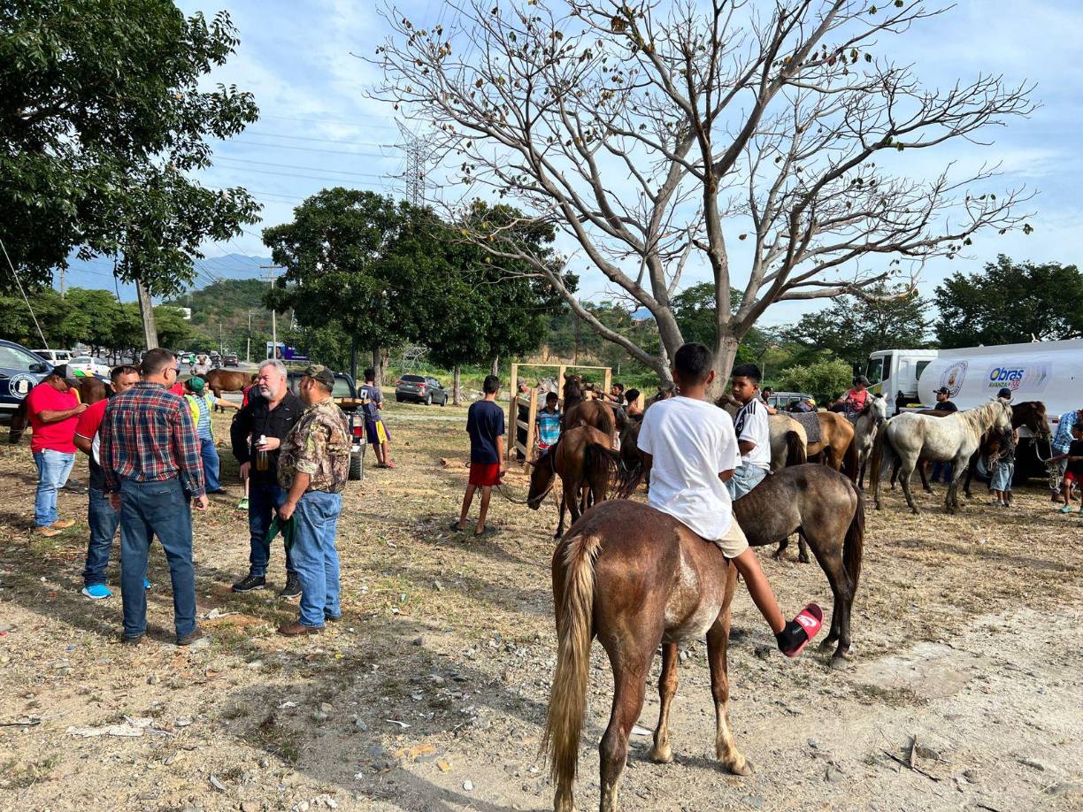  Hoy los caballos en la brigada están recibiendo alimento, desparasitante y medicamentos gratuitos.