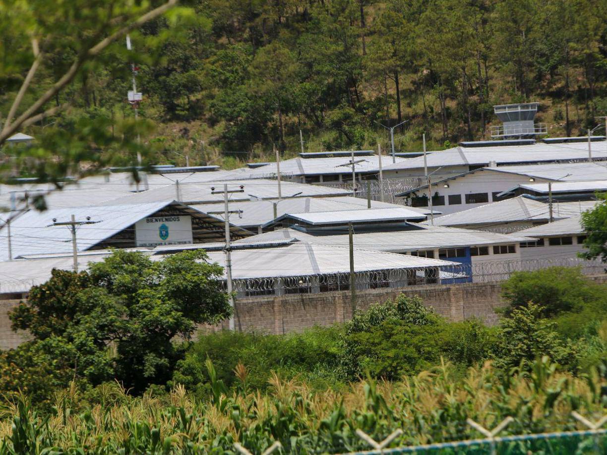 La cárcel de Siria fue inaugurada en 2015 y tiene capacidad para albergar a 2,496 privados de libertad en más de 20 módulos distribuidos en 11 manzanas de terreno.