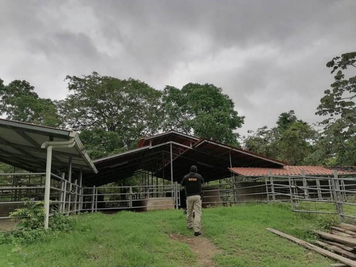 “El Tigre” fue depurado en 2016 y en 2020 EEUU lo acusó de narcotráfico.