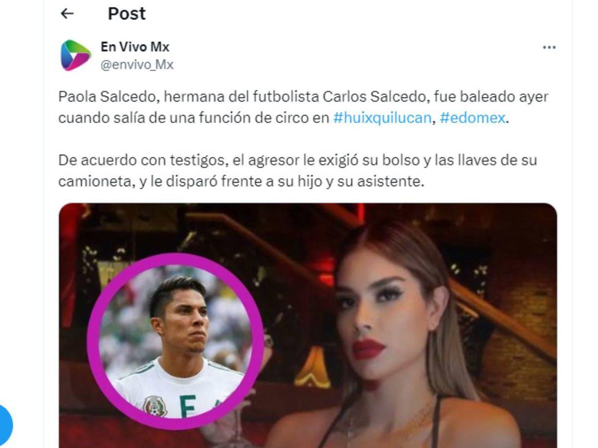 La chica fue baleada al salir de un circo, el agresor le exigió su bolso y las llaves de su camioneta, el individuo le disparó frente a su hijo.