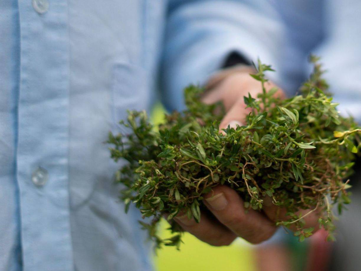 “El partido no se va a dar aquí, porque no quiero que después de un partido esto quede desecho y nos vayan a echar la culpa a nosotros, mientras no tengamos el dictamen legal y la opinión de todos nuestros expertos, no vamos a dar por recibido esta cancha”, aseguró Contreras.