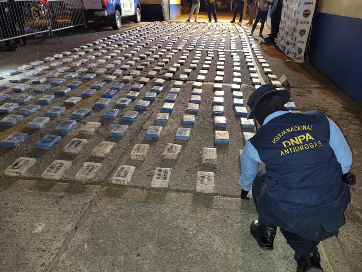 La droga estaba distribuida en <b>27 fardos</b>.