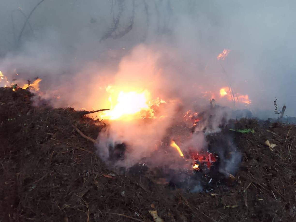 El siniestro ocurre dentro del área protegida de el Cusuco. 