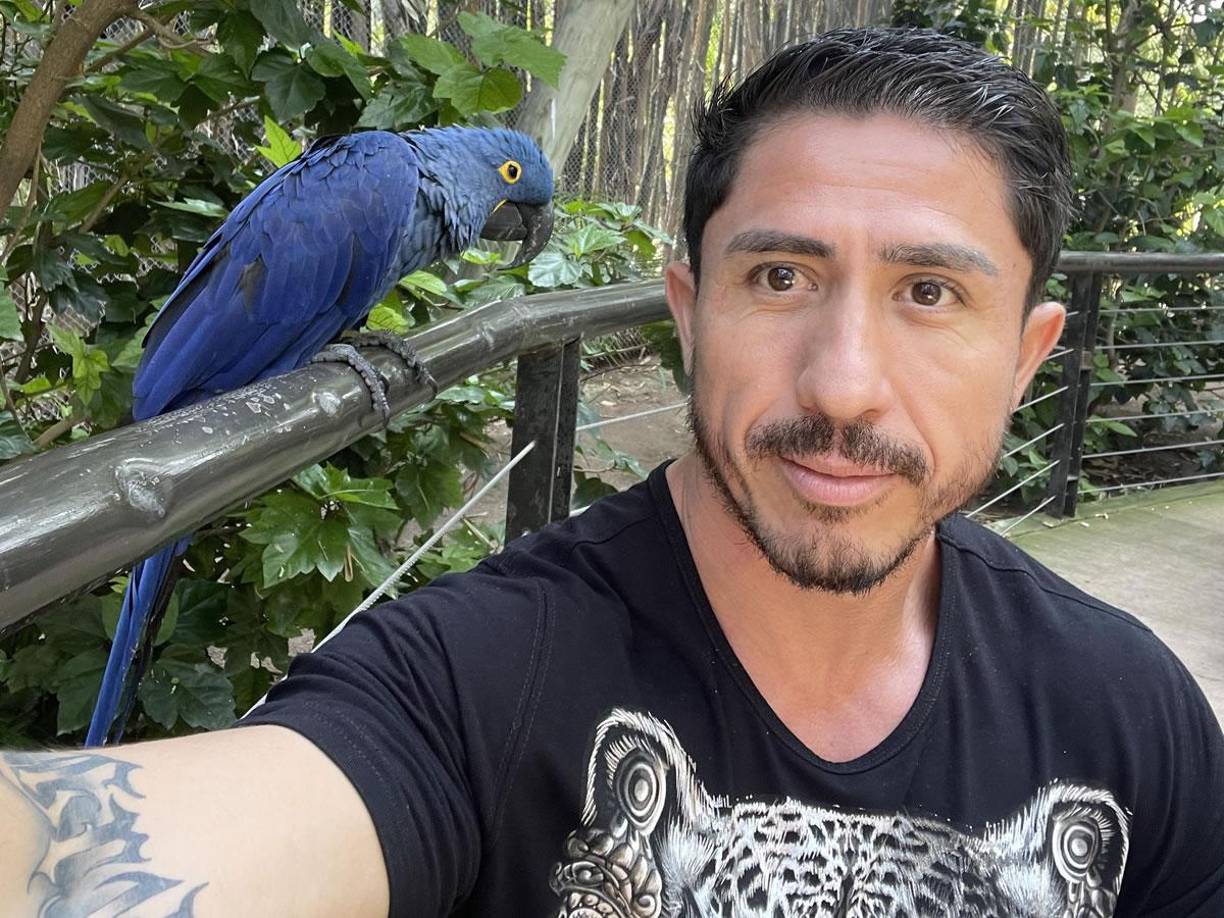 Mientras se desarrolla la investigación, amigos y familiares de Cristian Flores han organizado homenajes en su honor, recordando su impacto en el mundo del fisicoculturismo y el deporte en general. 