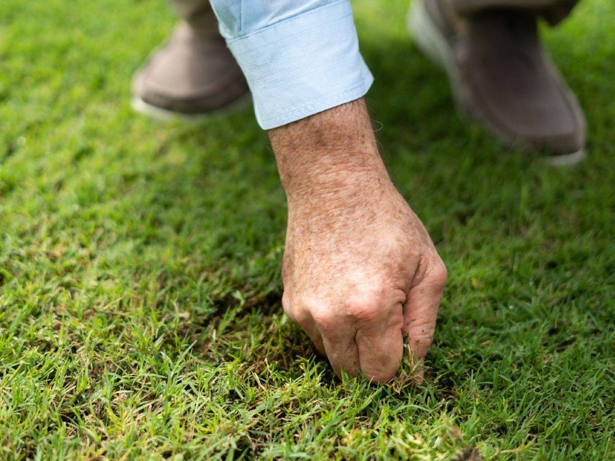 El alcalde Roberto Contreras aseguró que la cancha no está lista para su uso y que el partido entre Real España y Olimpia no se podrá programar en la instalación.