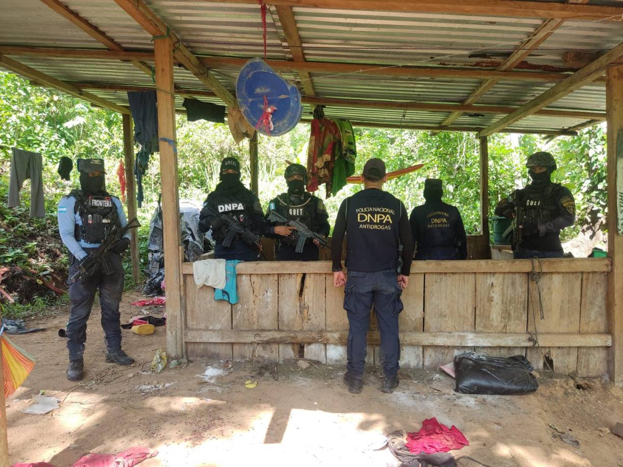 Agentes antidrogas de Honduras localizaron este martes 90.000 arbustos de hoja de coca durante una operación policial en el Caribe del país, donde también incautaron un laboratorio para procesar drogas, informó una fuente oficial.