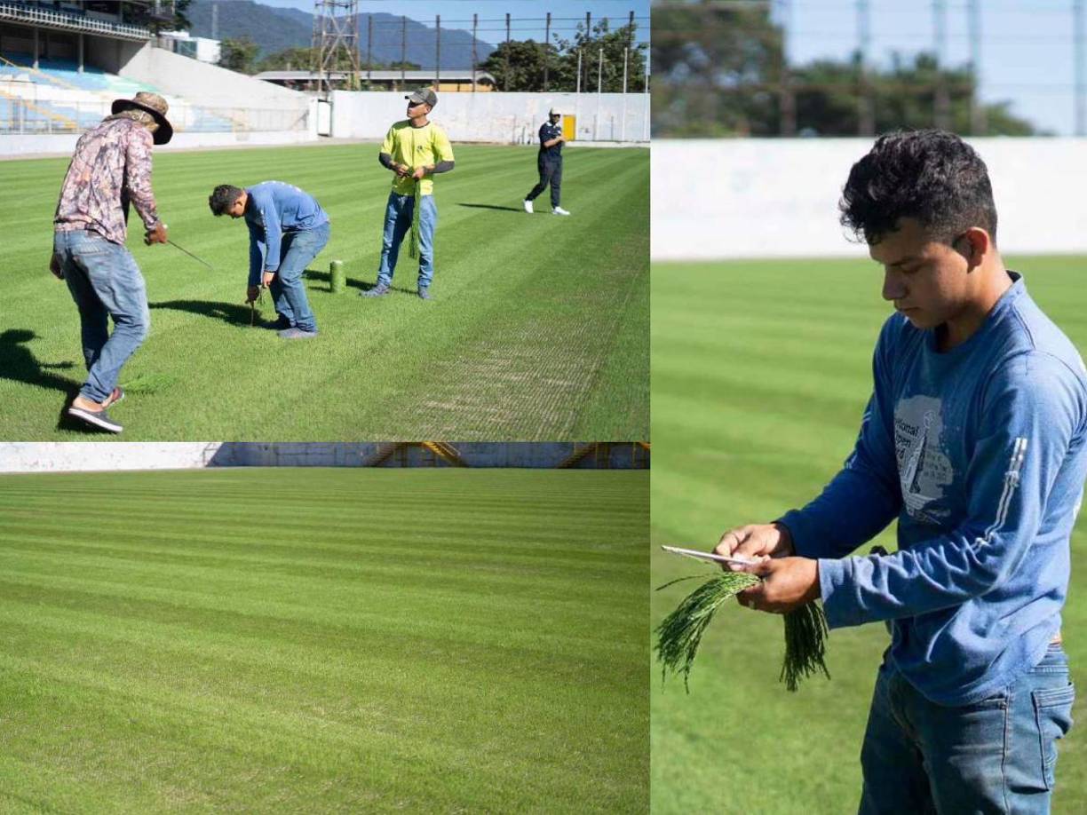 El Estadio Francisco Morazán cada vez va tomando más color y Diario LA PRENSA visitó las instalaciones para ver los avances de su engramillado.