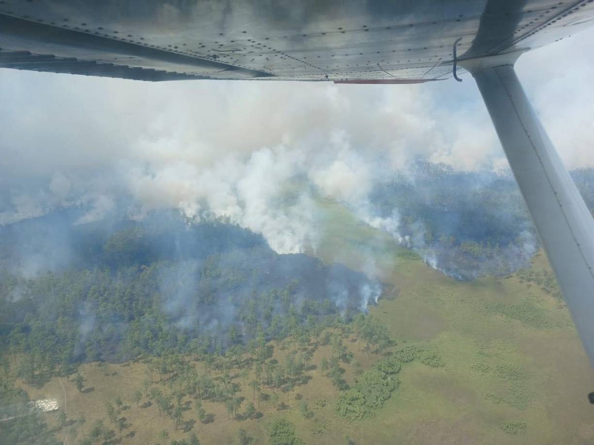 Y es que la Biosfera del Río Plátano en Gracias a Dios sufre DE varios problemas ambientales como ser la deforestación, estos registrados y publicados por el Institiuto de Conservación Forestal (ICF).