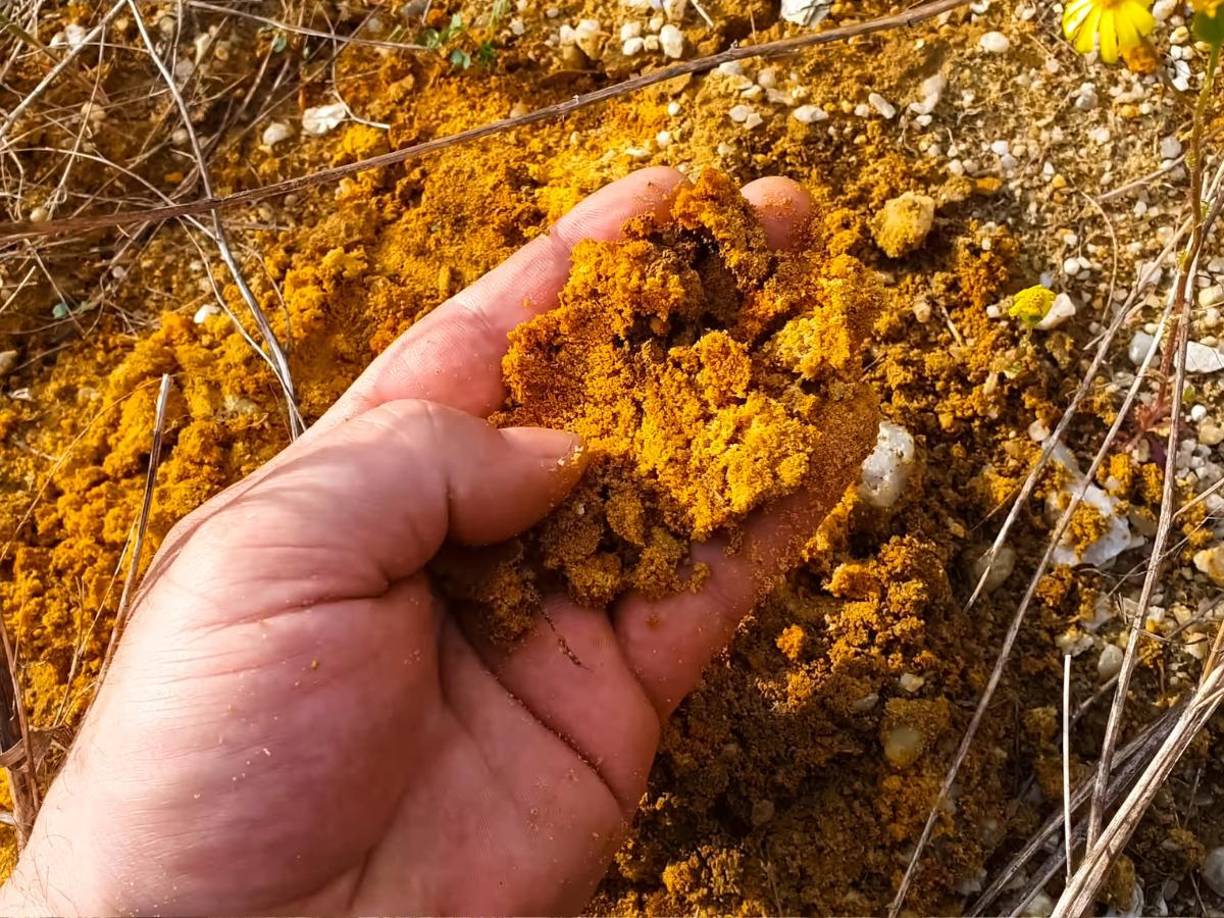 Liu Yongjun, subdirector de la Oficina Geológica de Hunan, mencionó que también se han encontrado indicios de oro en áreas cercanas y considera que podría albergar aún más depósitos valiosos.