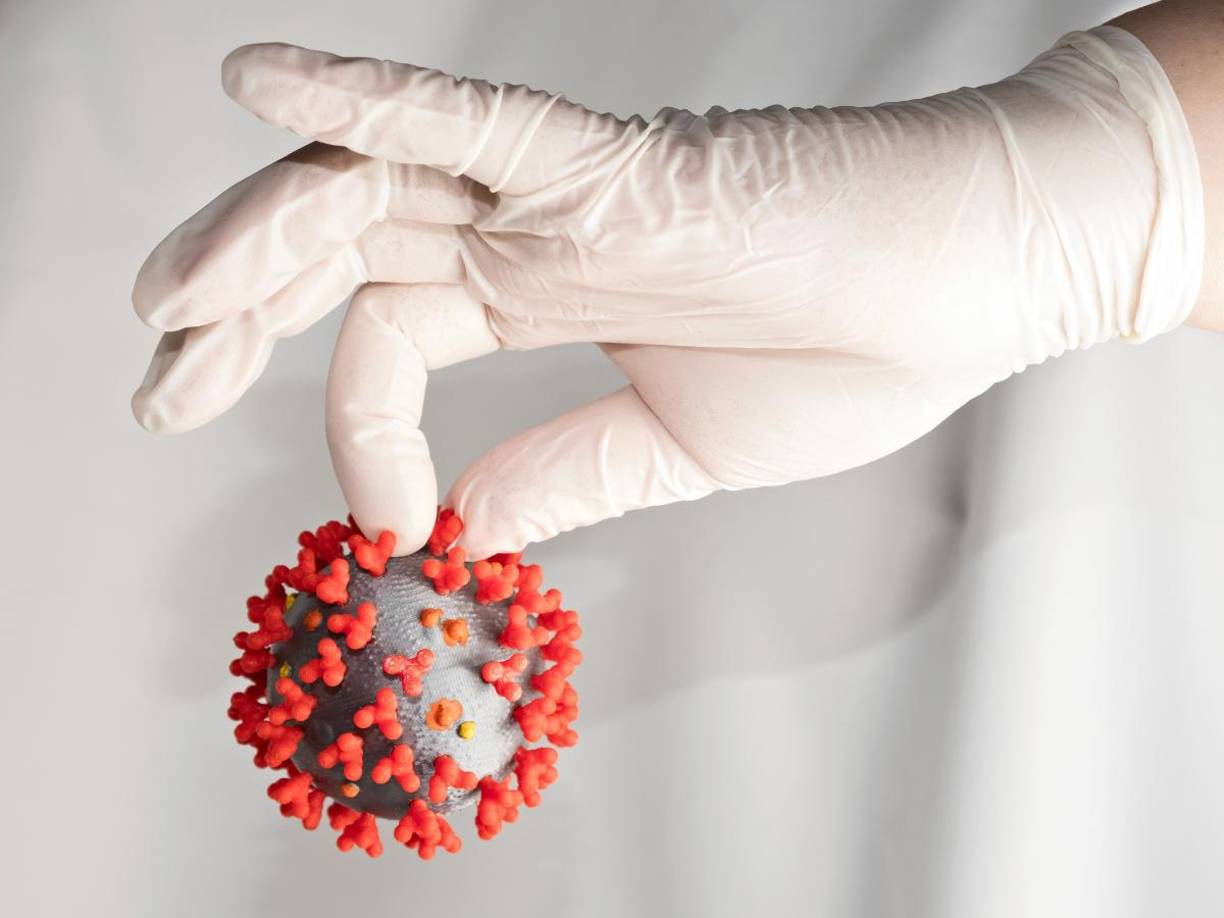 El Departamento de Salud y Servicios Humanos de Atlanta ha instado a las familias a extremar precauciones, especialmente en entornos escolares y colectividades infantiles, donde se han detectado los brotes más severos. 