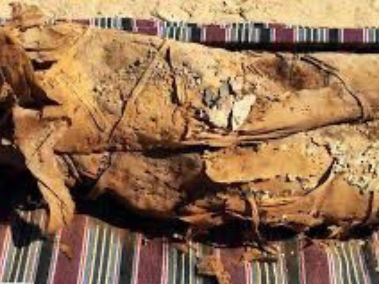 <b>Egipto</b> anuncia regularmente descubrimientos arqueológicos, que algunos expertos califican como efectos de anuncio con más alcance político y económico que científico.