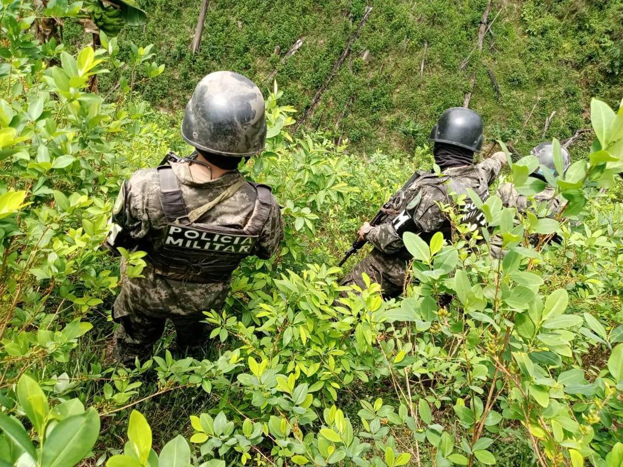 También las plantas eran tratadas con cal hidratada.