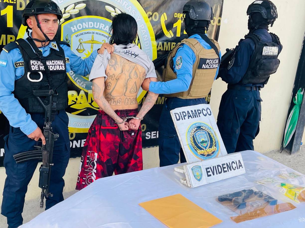 Cabe mencionar que, su captura fue posible gracias al seguimiento constante realizado durante varias semanas.