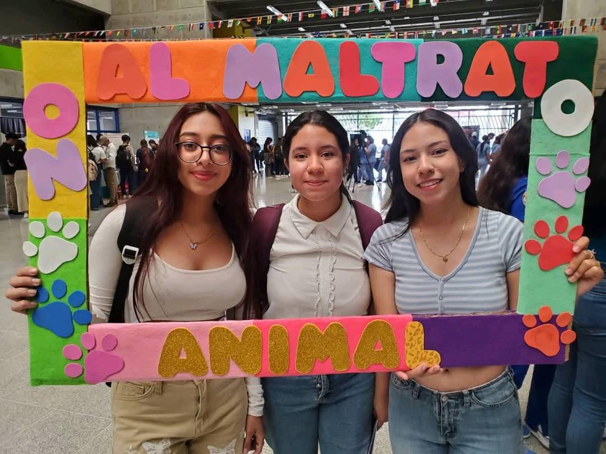 “También nos dedicamos a educar en pro de los derechos de los animales; hacemos foros, marchas y brigadas veterinarias, también realizamos labores fuera de la universidad”, expresó el coordinador de Patitas UNAH en pro de los Animales, Enersy O’Hara, para una entrevista con Presencia Universitaria. 