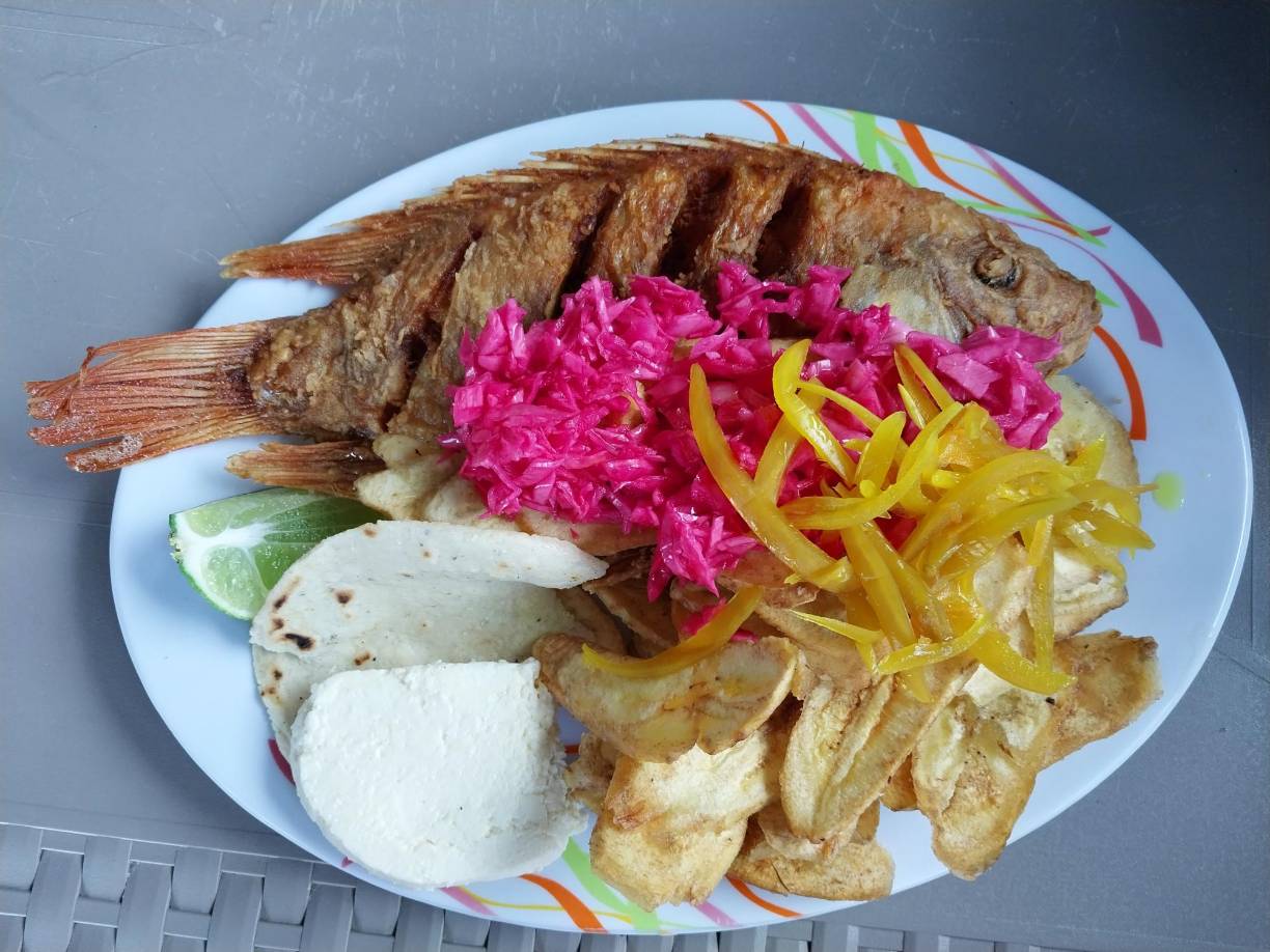 Buena comida: En Mr. Fish se degustan sabrosos pescados frutos donde le agregan como plus una tortillita hecha a mano con cuajada recién elaborada. Toda una delicia. 