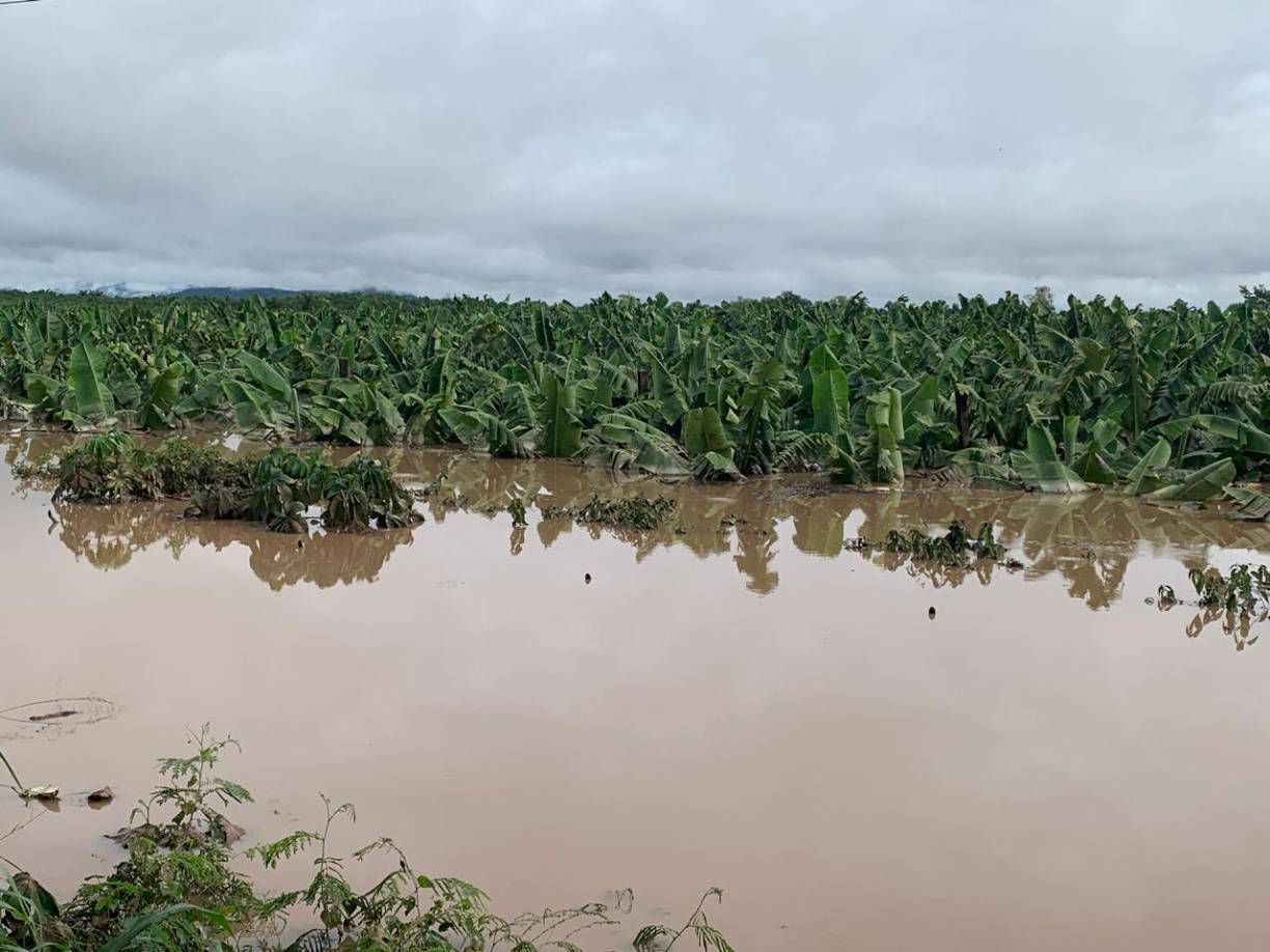 El fenómeno incluso superó en lluvias a otros ciclones tropicales, especialmente en el departamento de Atlántida, donde se registraron unos 1,200 milímetros de agua durante el paso del ciclón en tres días.