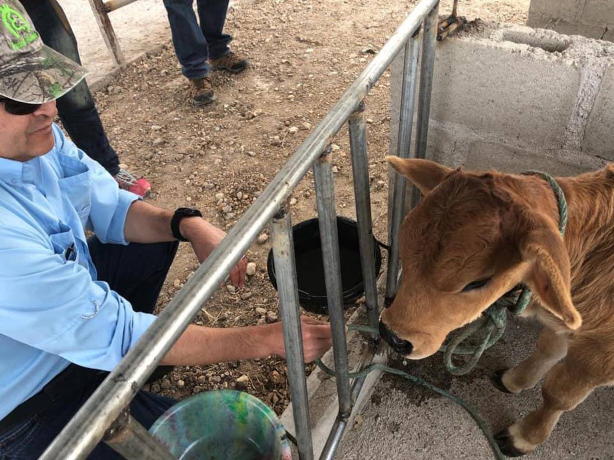 Fue el 1 de abril cuando el Juzgado de Privación de Dominio ordenó la incautación y aseguramiento de 30 bienes inmuebles, 16 vehículos, unos 80 productos financieros y 8 sociedades mercantiles propiedad de Juan Orlando Hernández.