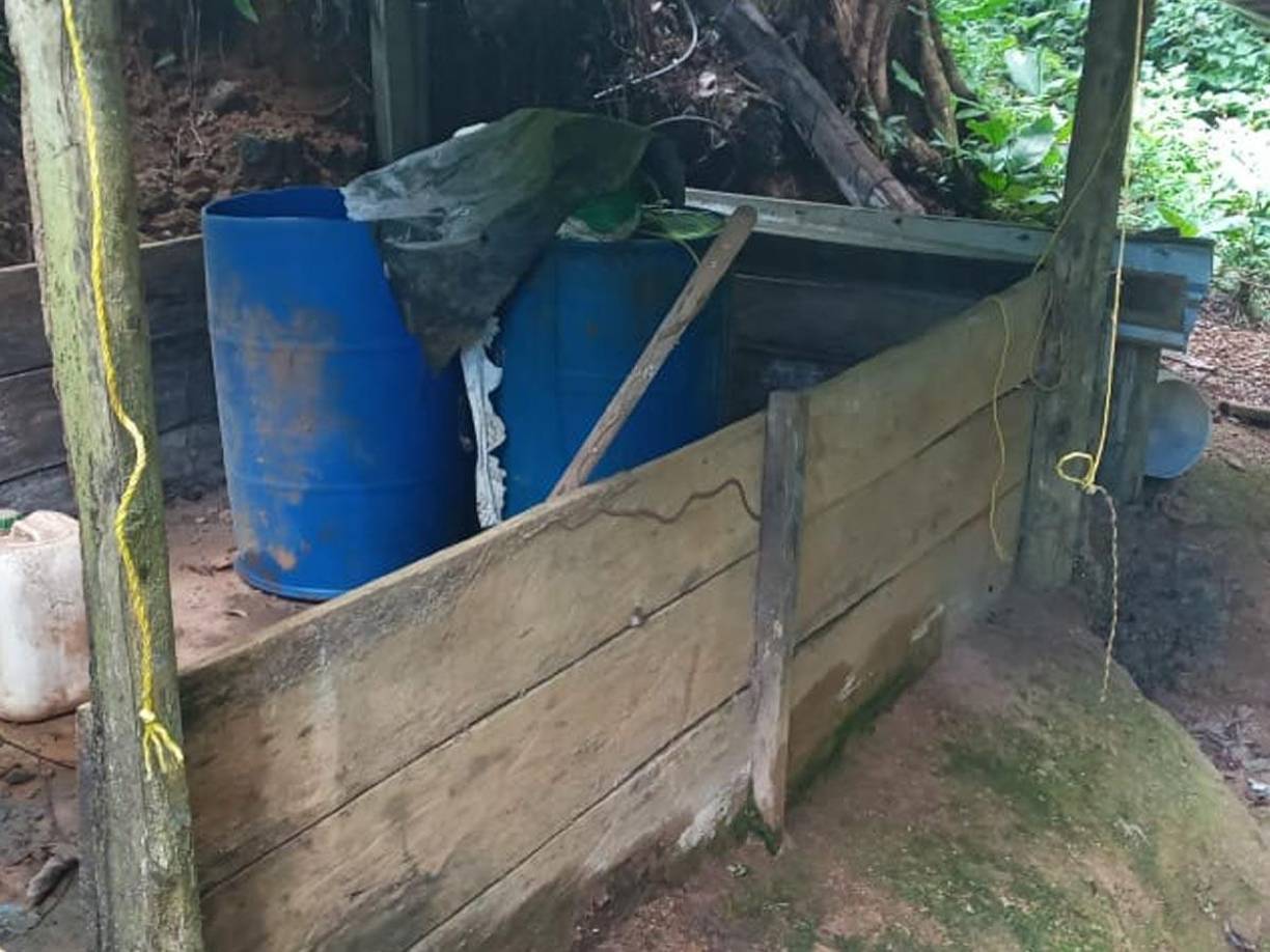 Descubren 18 mil arbustos de hoja de coca en Colón