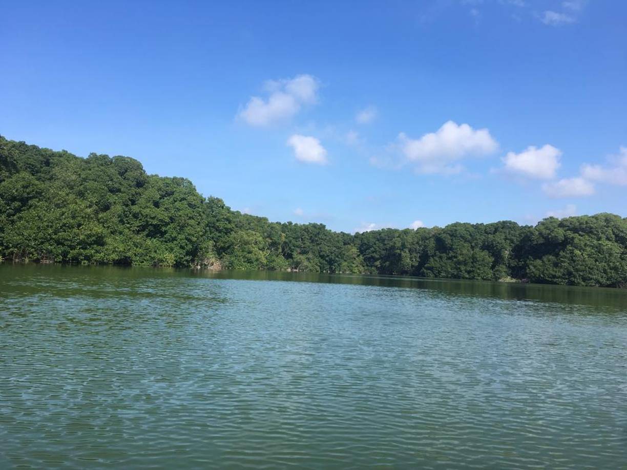 Su vegetación es albergue para más de 350 especies de aves y es una de las zonas con mayor biodiversidad en Centro América.