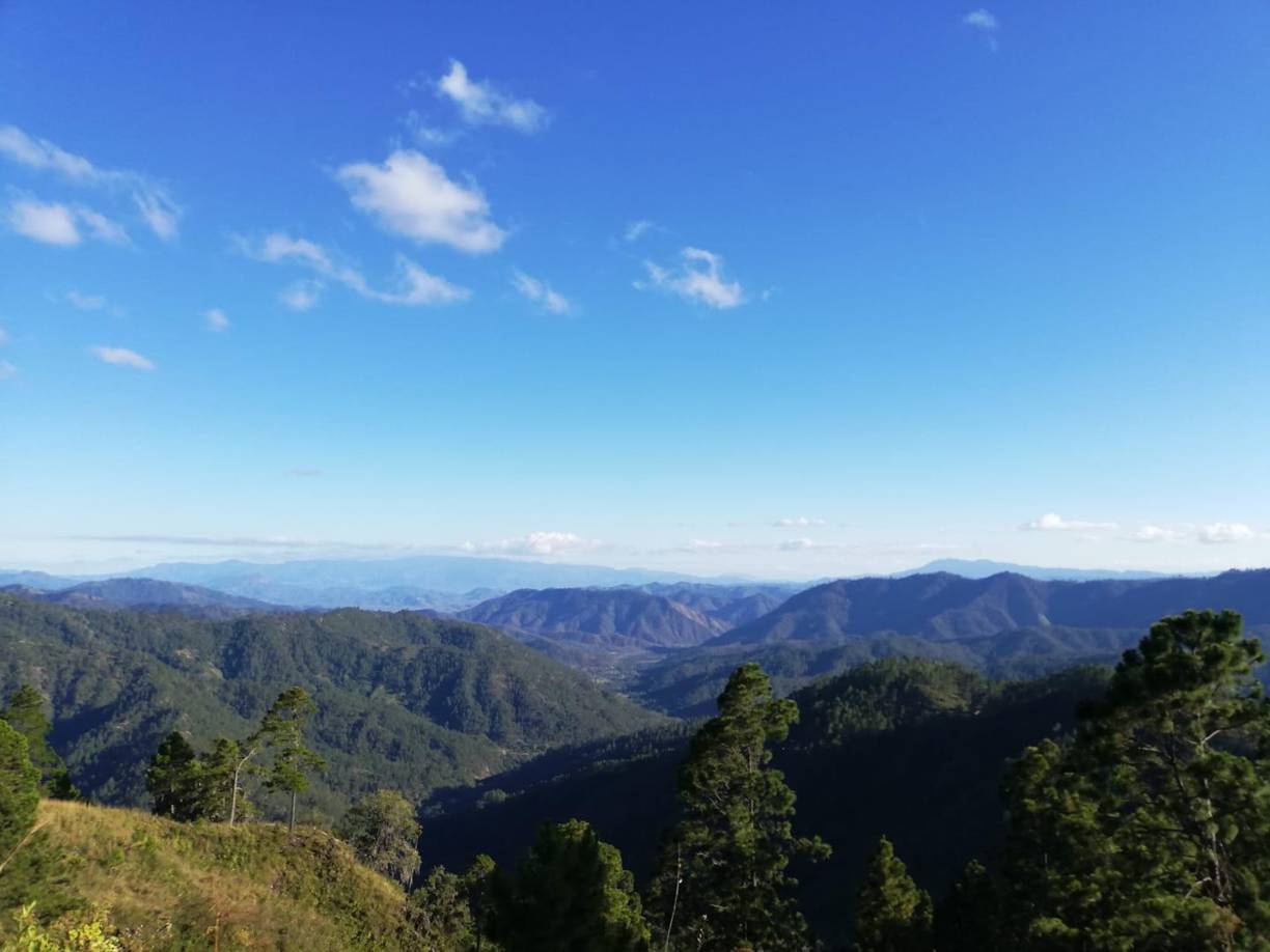 Según los testimonios de los vecinos, fue brutalmente atacado a machetazos por, al menos, dos hombres. 