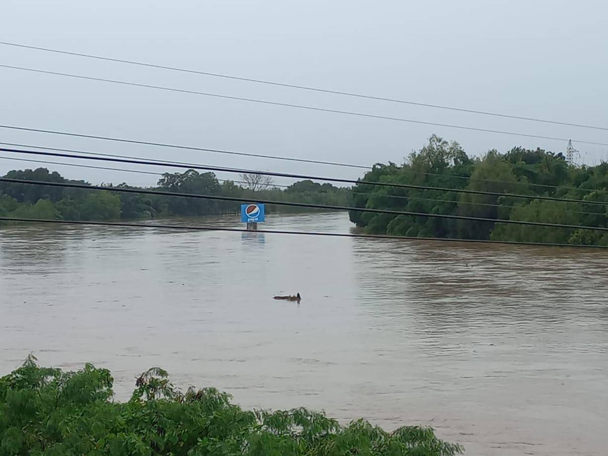 El río Ulúa surca el valle de Sula por los campos bananeros de El Progreso, Yoro, y desemboca en la frontera entre los departamentos de Cortés y Atlántida, en el Caribe. 