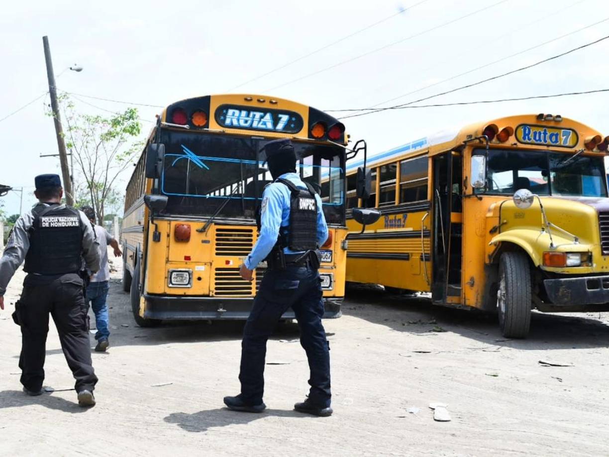 Los buses de la Ruta 7 volvieron a operar desde este miércoles 5 de junio, cinco días después de estar sin trabajar por amenazas de extorsión.