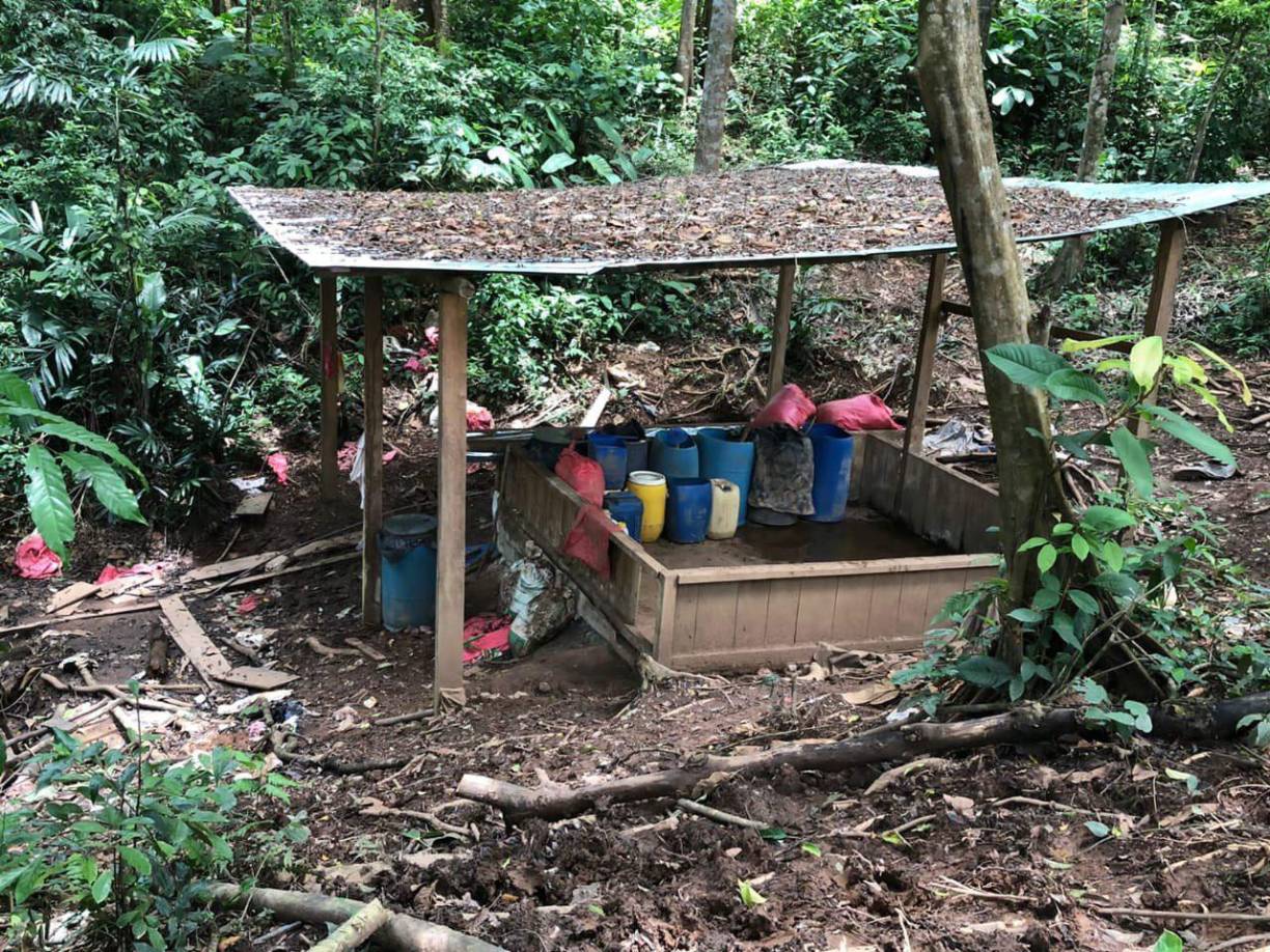 En la operación participaron efectivos del Segundo Batallón de Infantería de Marina, quienes junto a la Fuerza Aérea realizaron un recorrido por la zona para identificar otras posibles plantaciones de estupefacientes.