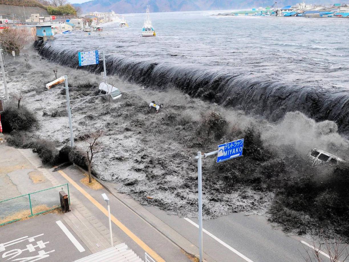 Antes del devastador terremoto de magnitud 9,1 que golpeó Japón en 2011 y provocó un tsunami que dejó más de 18 mil muertos, se registraron varios avistamientos de peces remo en las costas japonesas. 