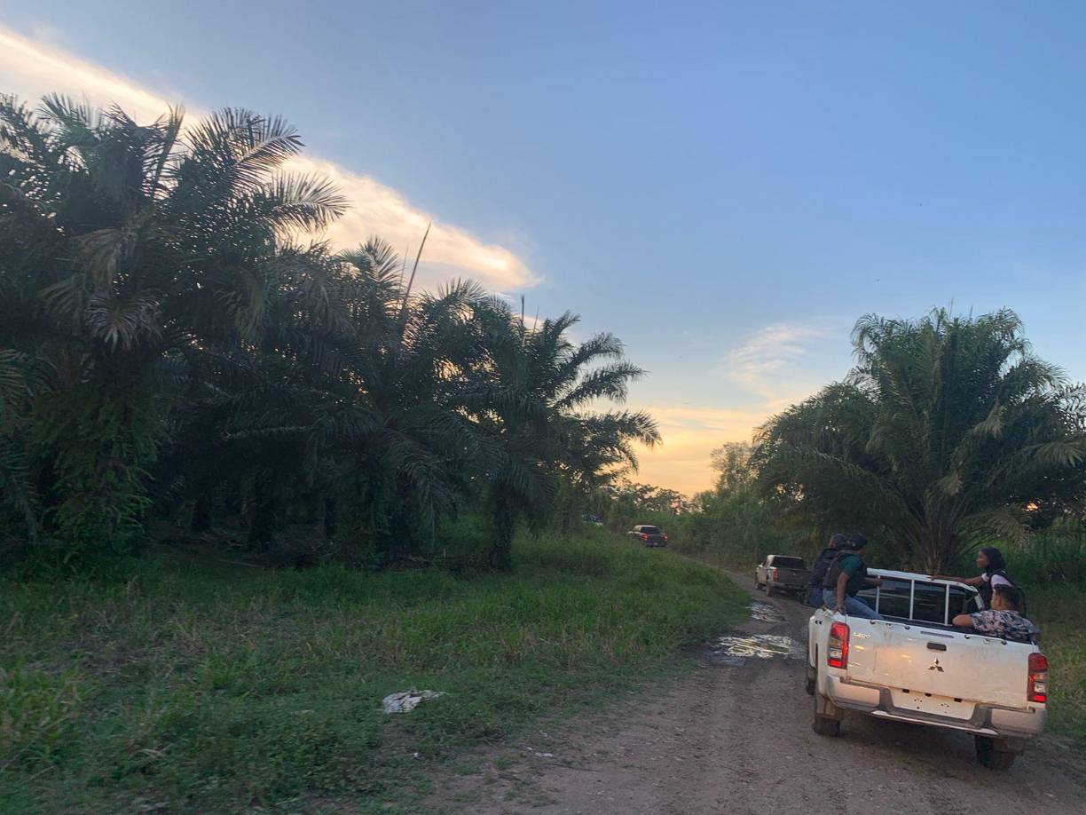 Kemel Ordoñez, comisionado de la Policía Nacional, señaló hoy que varios equipos de diferentes ramas policiales se encuentran diseminados en la zona del Bajo Aguán con el objetivo de capturar a los asesinos. 