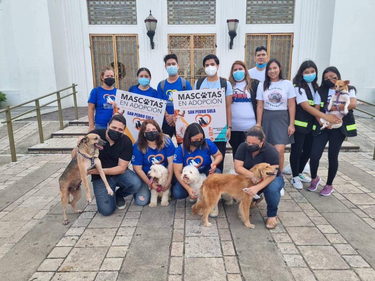 MASCOTAS EN ADOPCIÓN HN: Esta asociación existe desde el 15 de Noviembre del año 2015. La iniciativa nace al ver la necesidad que hay en las calles, de animales abandonados y enfermos. 