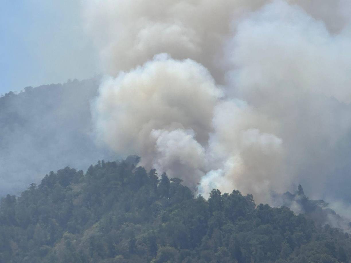 La contaminación del aire en la ciudad industrial había llegado a niveles peligros.